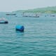 Could COVID-19 be a blessing in disguise for Kenyan aquaculture? thumbnail image