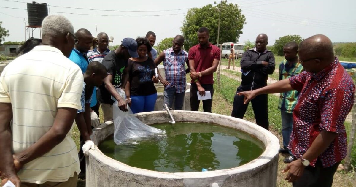 Ghana launches online aquaculture course | The Fish Site
