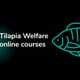FAI launches free tilapia welfare training thumbnail image