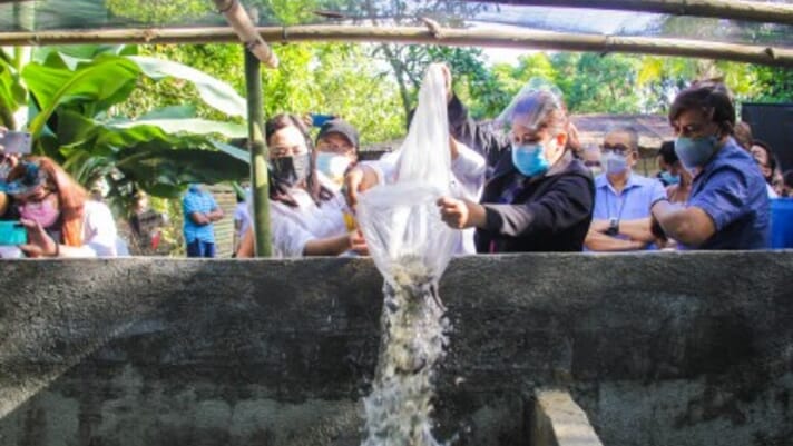 Filipino legislator calls for additional fish hatcheries to address food security thumbnail image