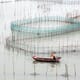 China’s coastal aquaculture area decreases by 13 percent from 2016 thumbnail image