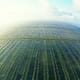 Indonesia plans to revitalise 300,000 hectares of fallow shrimp farms thumbnail image