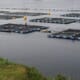 US Senate introduces legislation for offshore aquaculture rules thumbnail image