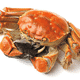 Crab makes debut on certification scheme thumbnail image