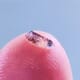 New aquatic pathogen detected thumbnail image