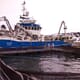 Industry backs capture-based cod aquaculture  thumbnail image