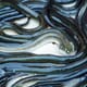 Detroit earmarked for $30 million eel farm thumbnail image