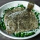 How has Covid-19 impacted Europe’s turbot market? thumbnail image