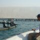 Iranian aquaculture expansion threatens coral reefs thumbnail image