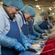 Seafish launches its 2022 survey for seafood processors thumbnail image