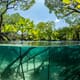 12 blue carbon mangrove projects to watch thumbnail image