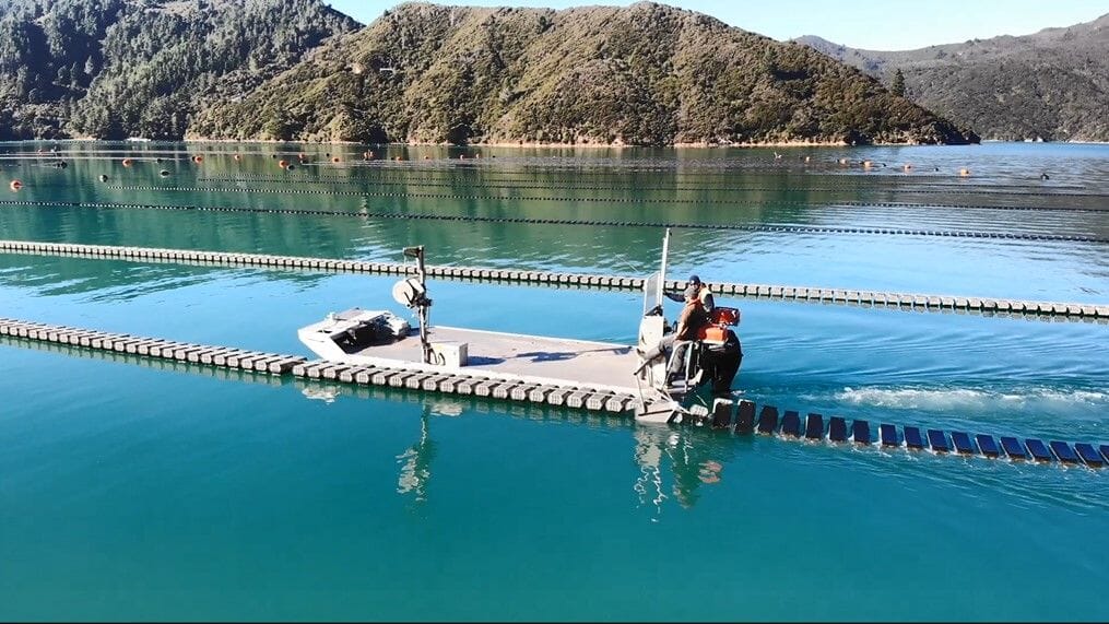 Oyster farming technology coming up from Down Under The Fish Site