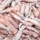 Could squid pigment help to combat Listeria? thumbnail image