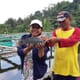 The opportunities and challenges of Indonesian tilapia strains thumbnail image