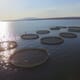 Lake Harvest secures $7 million investment thumbnail image