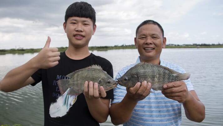 Recognition for Hainan’s pioneering tilapia project thumbnail image
