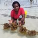 Women in aquaculture: Dr Flower Msuya    thumbnail image