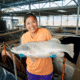 Women in aquaculture: Marie Tan thumbnail image