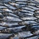 Consumers urged to eat more oily fish thumbnail image