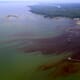 Chesapeake Bay Algal Bloom Among Most Intense in Years thumbnail image