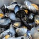 Algae Toxins Found in San Francisco Bay Shellfish thumbnail image