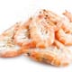 Frozen Shrimp Exports to Korea Must Undergo Quarantine thumbnail image