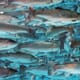 Gut Feeling Essential for Migrating Fish thumbnail image