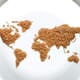 Can the World Beat Global Food Price Spikes? thumbnail image