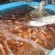 Oyo State Fish Farmers Receive 150,000 Fingerlings thumbnail image