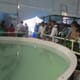 Aqua Aquaria 2015: Vietnam Firm to set up Aqua Feed Plant in Andhra Pradesh thumbnail image