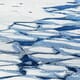 Arctic exploitation put on ice thumbnail image