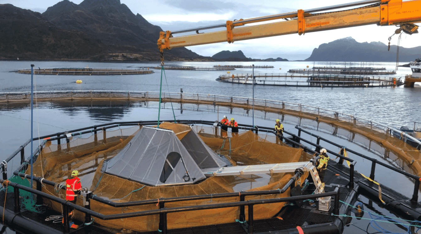 salmon pen being lowered into the water