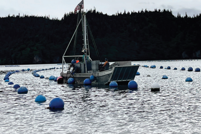 A fishing boat on a lake surrounded by buoys