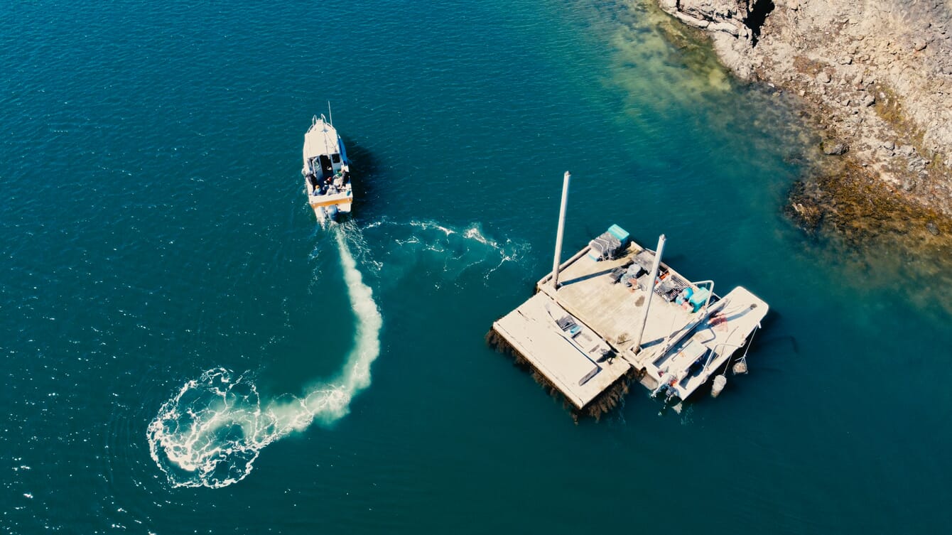 An aerial view of a boat leaving an oyster raft.