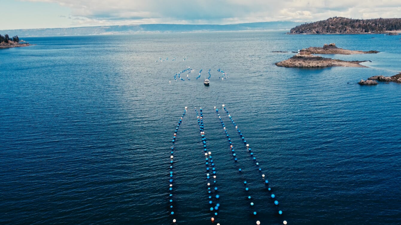 Aerial view of an oyster farm.