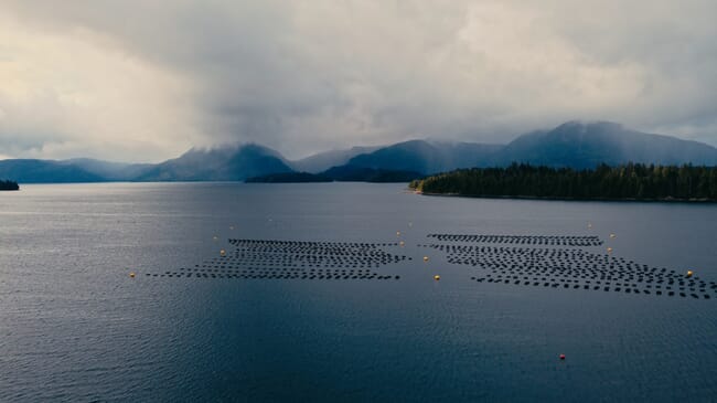 Aerial view of buoys in a fjord.