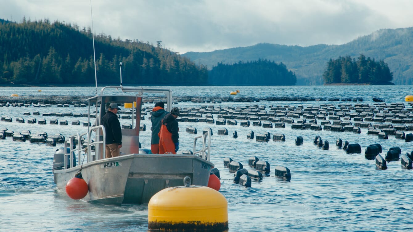 Pessoas em um barco, cercadas por boias