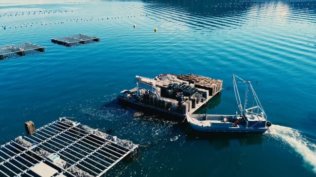 Alaska shellfish farm.