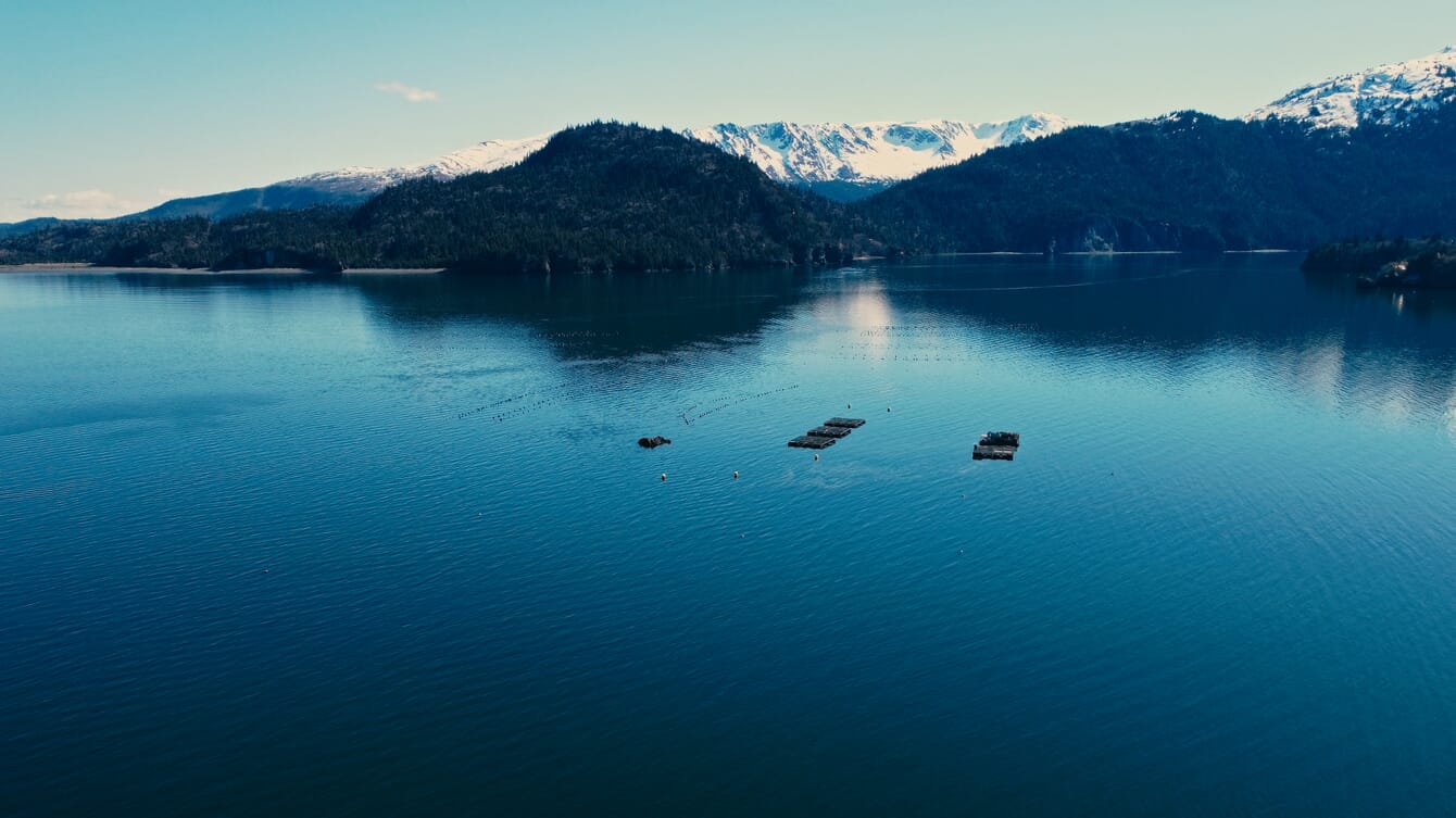 Aerial view of an oyster farm in a fjord