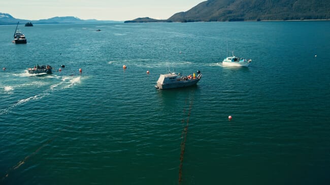 Boats at work on a kelp farm.