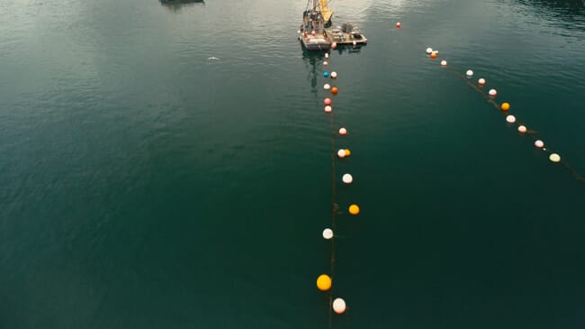 An aerial view of an oyster farm.