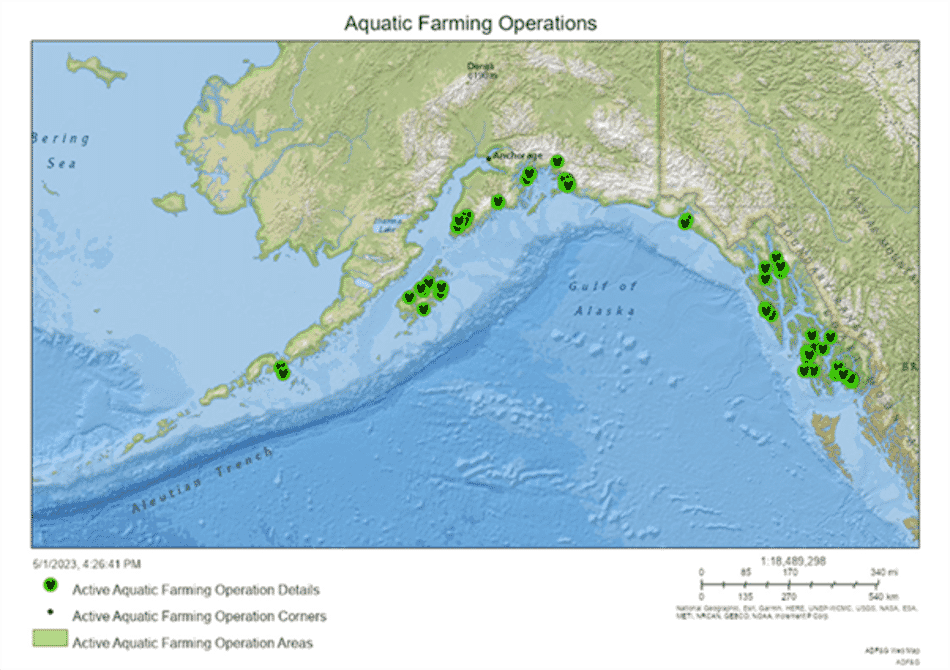 NOAA backs growth of Alaskan aquaculture sector The Fish Site