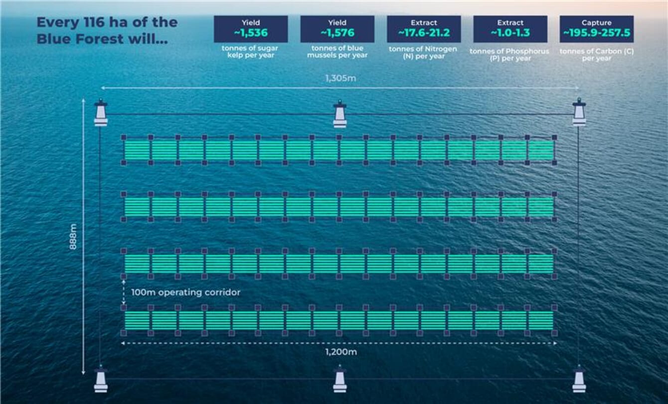 A graphic showing the potential benefits of a restorative aquaculture project