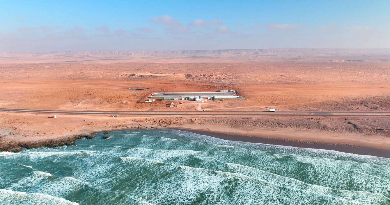 Uma fazenda de algas em um deserto costeiro.