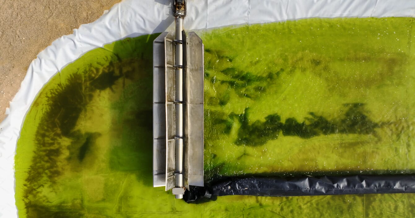 Aerial view of an algae pond