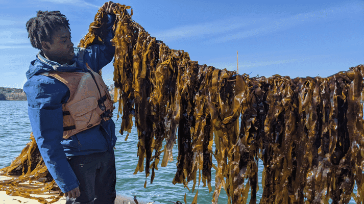man holding seaweed