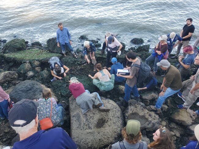 people walking along a rocky shoreline