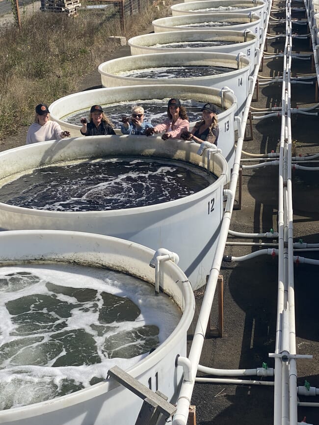 Instalação de produção de algas marinhas do Oregon.