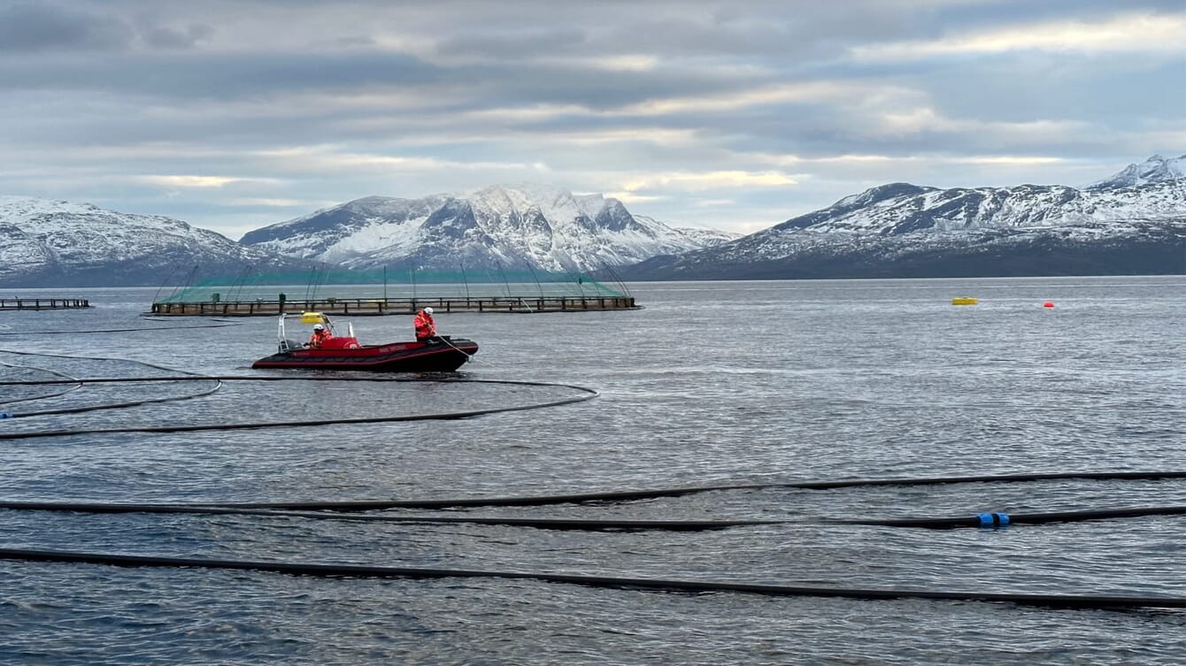 people in a boat near salmon pens