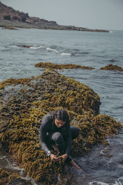A woman in a wetsuit picking seaweed off a rock.